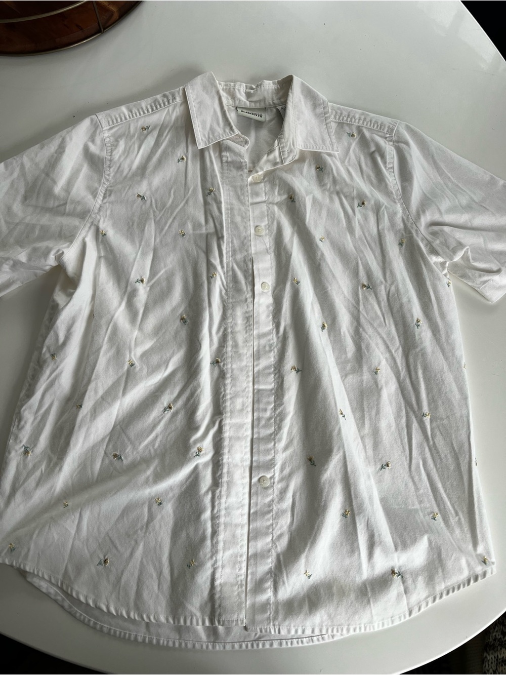 Classic Elements White Short-Sleeve Button-Down Shirt with Subtle Embroidery